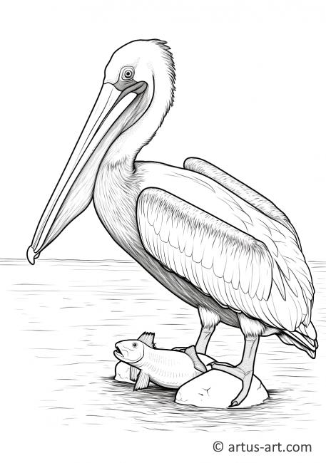 Página para colorir de Pelicano Pescando um Peixe
